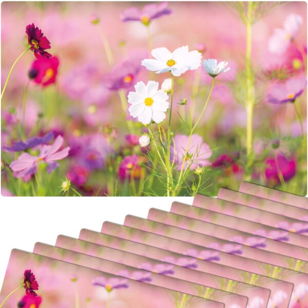 matches21 - Webshop Tischsets Platzsets MOTIV abwaschbar Fruehling Blumen pink weiss Blumenwiese 126278 9 1 18