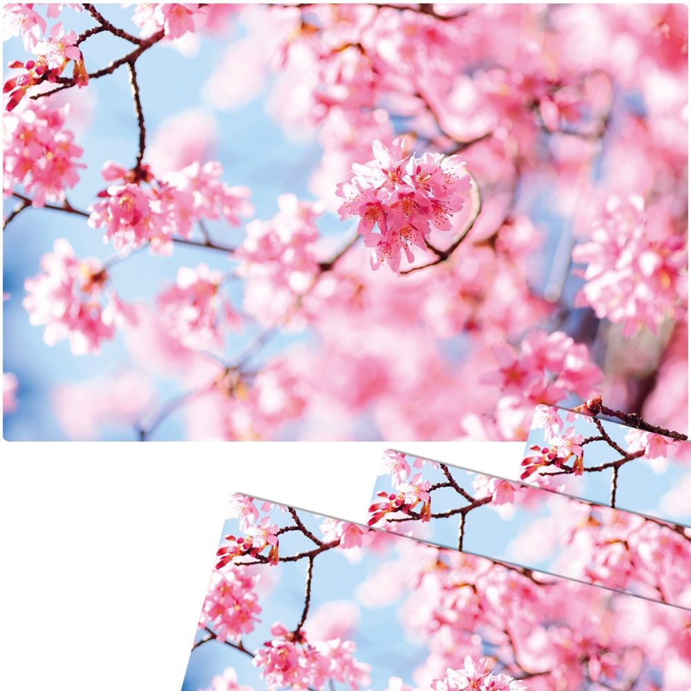 matches21 Tischsets Platzsets MOTIV abwaschbar Fruehling Kirschblueten rosa blau 126279 6 1 3