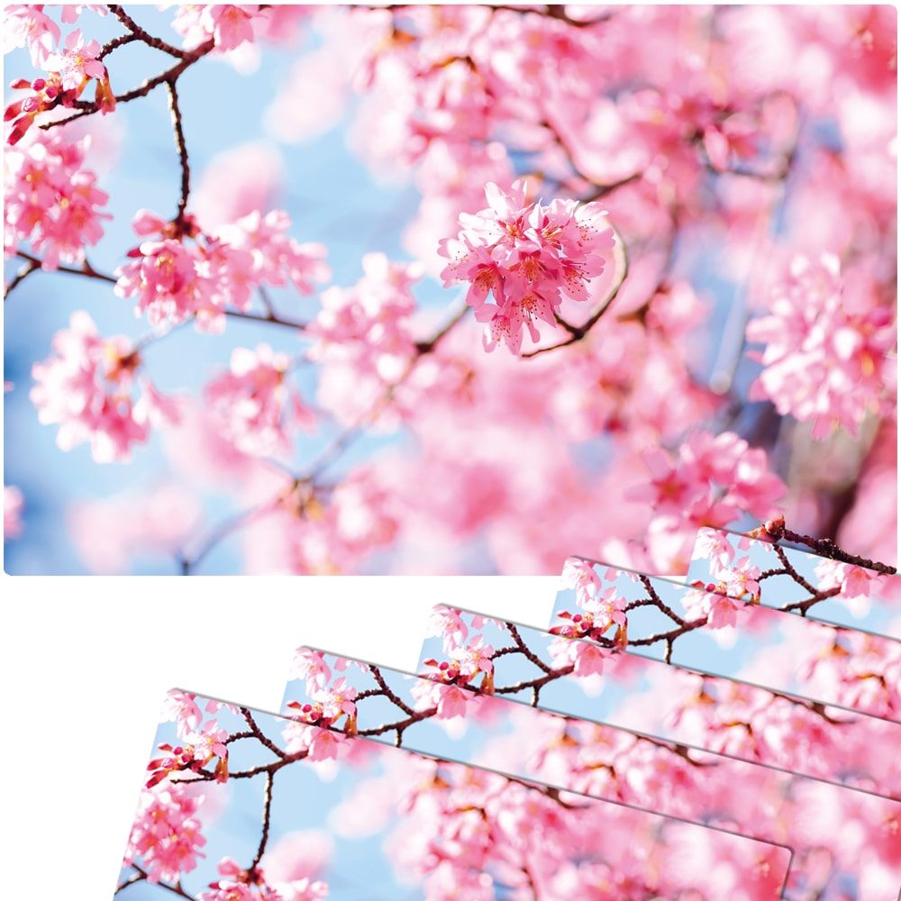 matches21 Tischsets Platzsets MOTIV abwaschbar Fruehling Kirschblueten rosa blau 126279 7 1 4