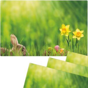 matches21 - Webshop Tischsets Platzsets MOTIV abwaschbar Osterhase Osterglocke Wiese bunt 126273 13 1 9