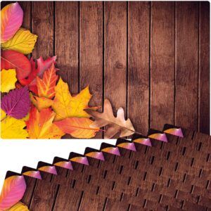 matches21 - Webshop Tischsets Platzsets MOTIV abwaschbar buntes Herbstlaub Blaetter Holz bunt 126260 5 1 27