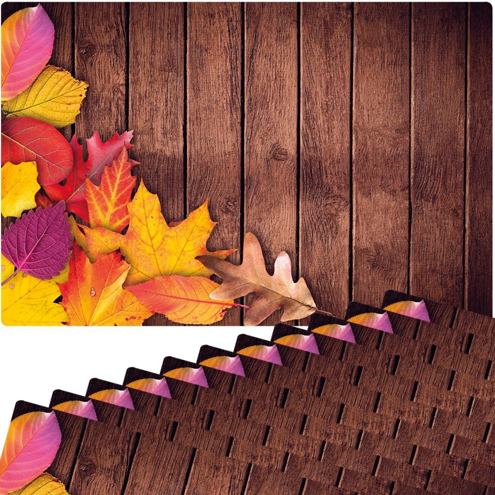 matches21 - Webshop Tischsets Platzsets MOTIV abwaschbar buntes Herbstlaub Blaetter Holz bunt 126260 5 1 20