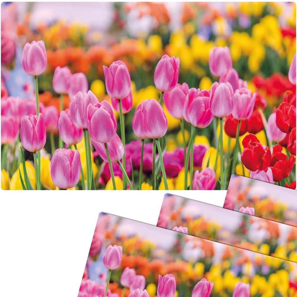 matches21 - Webshop Tischsets Platzsets MOTIV abwaschbar pinke Tulpen Blumenwiese bunt 126277 6 1 3