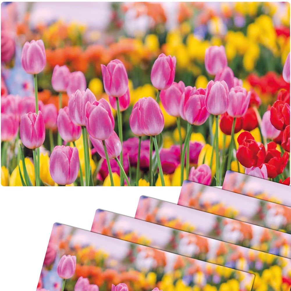 matches21 - Webshop Tischsets Platzsets MOTIV abwaschbar pinke Tulpen Blumenwiese bunt 126277 7 1 4
