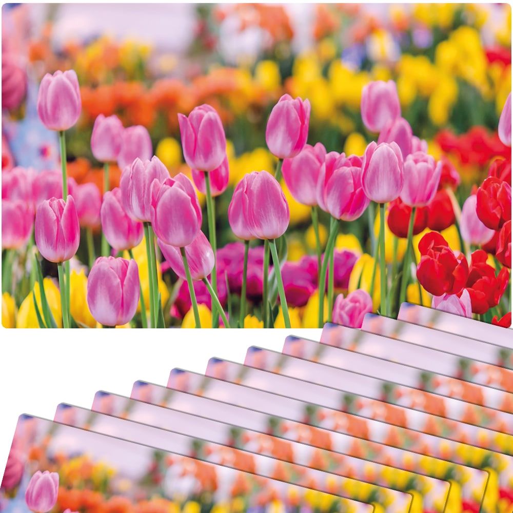matches21 - Webshop Tischsets Platzsets MOTIV abwaschbar pinke Tulpen Blumenwiese bunt 126277 8 1 6