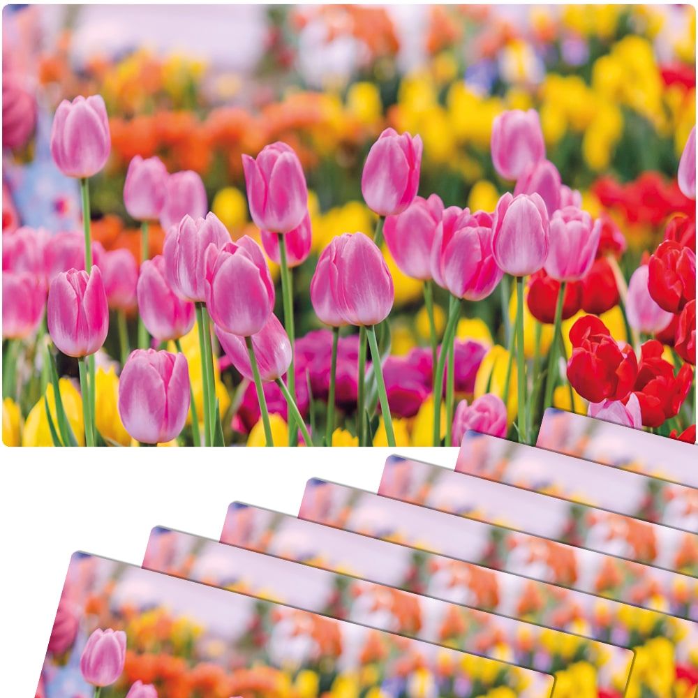 matches21 - Webshop Tischsets Platzsets MOTIV abwaschbar pinke Tulpen Blumenwiese bunt 126277 9 1 5