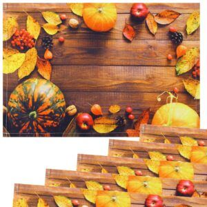 matches21 - Webshop Tischsets Stoff CLOTH waschbar Herbstfruechte Kuerbisse Holzbrett braun orange 126256 3 1 19