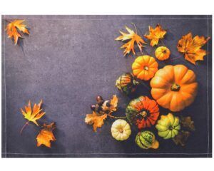 matches21 - Webshop Tischsets Stoff CLOTH waschbar Kuerbisse Herbstlaub Herbst Beton bunt 126251 1 1 17