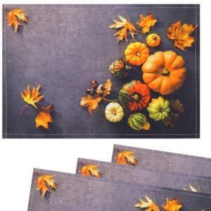 matches21 - Webshop Tischsets Stoff CLOTH waschbar Kuerbisse Herbstlaub Herbst Beton bunt 126251 2 1 18