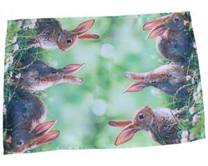 matches21 - Webshop Tischwaesche und Heimtextilien putzige Osterhasen Fotodruck bunt 1 Stk viele Modelle 124076 2 1 27