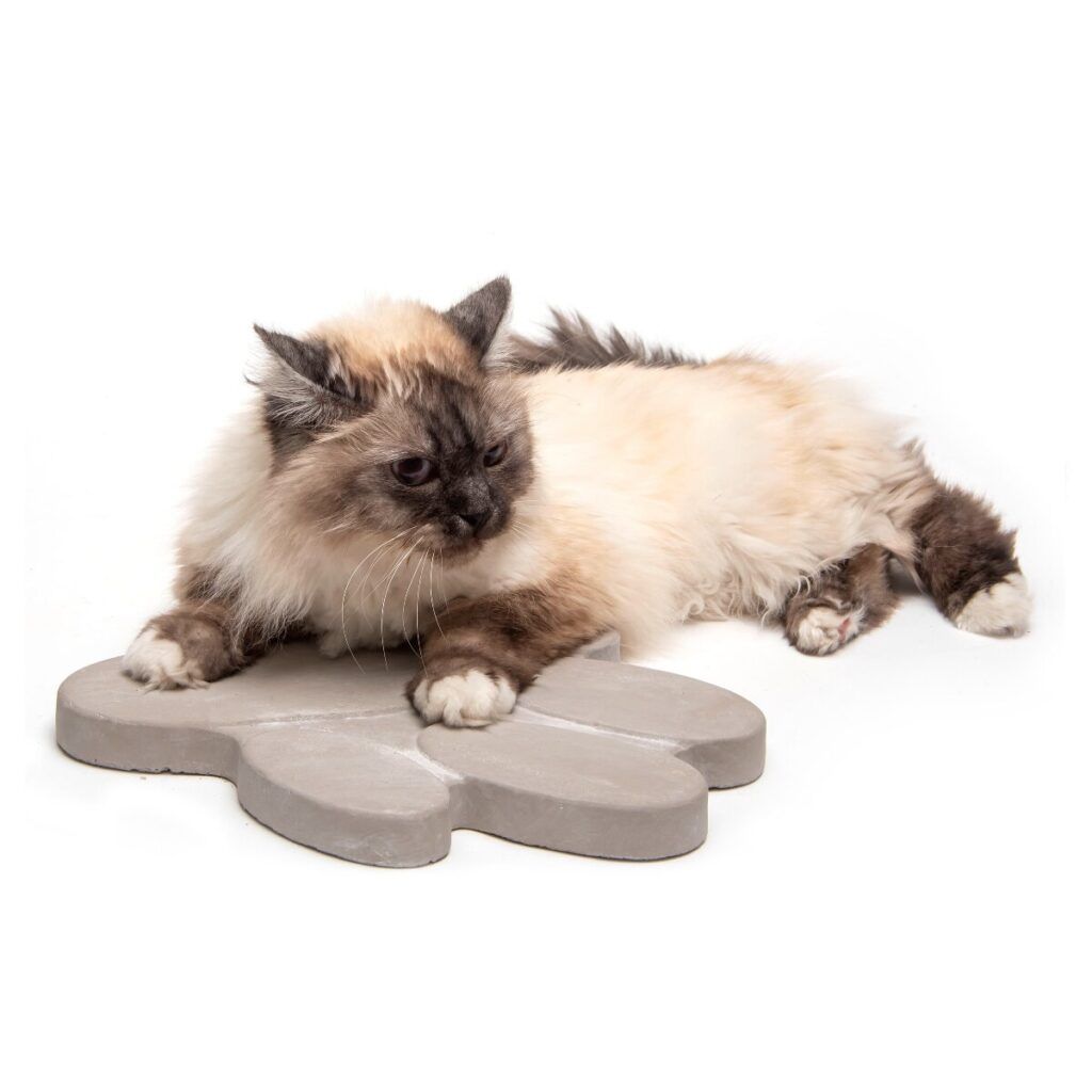matches21 - Webshop Trittsteine Pfote 2 12 huebsche Beton Trittplatten im Set 30 x 25 cm 126430 2 1 1
