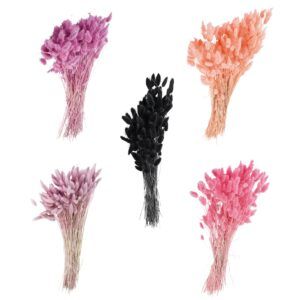 matches21 - Webshop Trockenblumen Deko Bund Phalaris gefaerbt verschiedene Farben 126455 5 1 12