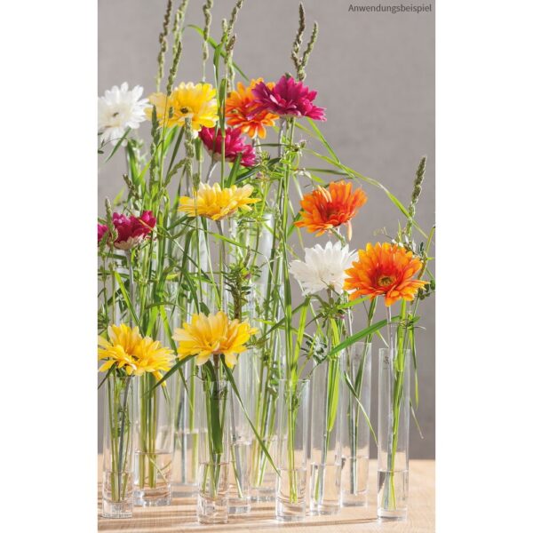 matches21 - Webshop Vasen Glas Dekoglaeser Glasvasen Blumenvasen Zylinder hoch rund 1 Stk 7 Groessen 118437 10 1 27