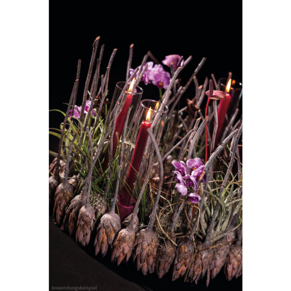 matches21 - Webshop Vasen Glas Dekoglaeser Glasvasen Blumenvasen Zylinder hoch rund 1 Stk 7 Groessen 118437 8 1 30