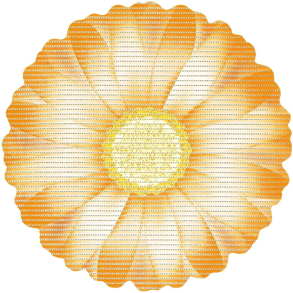 matches21 - Webshop Weichschaummatte NOVA SKY Antirutschmatte Gaensebluemchen Blume gelb 67 cm 124805 1 1