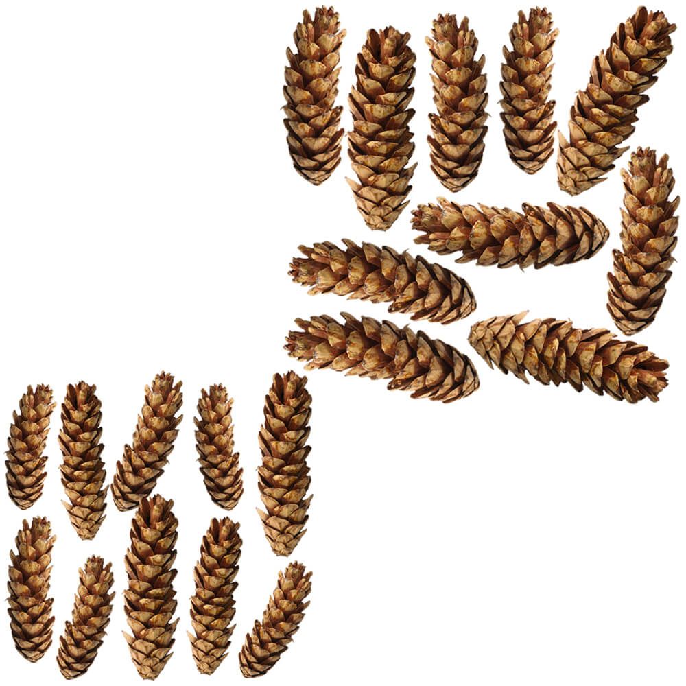 matches21 - Webshop Zapfen am Draht Tannenzapfen Naturdeko Basteln braun lackiert 10er Set 2 Groessen 121753 1 1