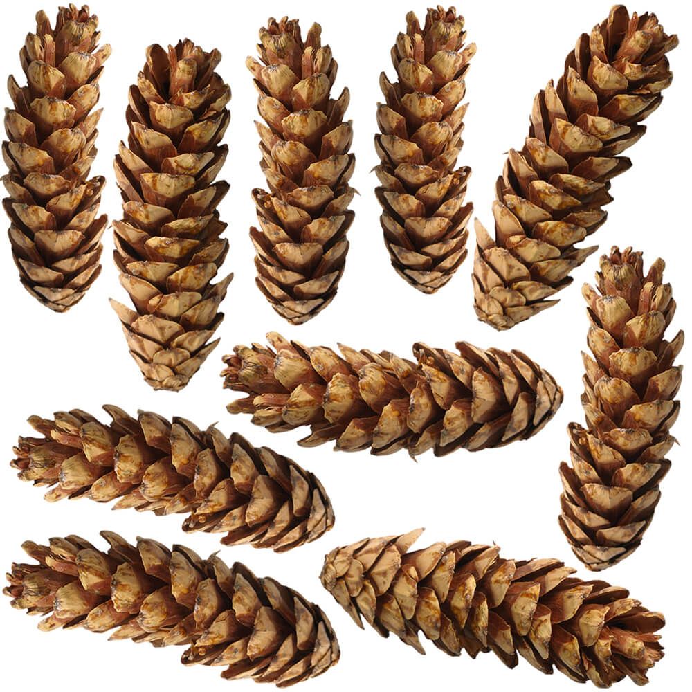 matches21 - Webshop Zapfen am Draht Tannenzapfen Naturdeko Basteln braun lackiert 10er Set 2 Groessen 121753 2 1 3