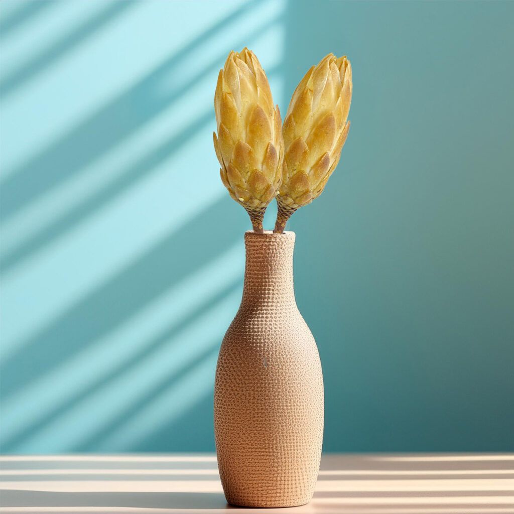 matches21 Zuckerbuesche Protea 5er Set Trockenblumen natur hell gebleicht 30 40 cm 125232 4 1 5