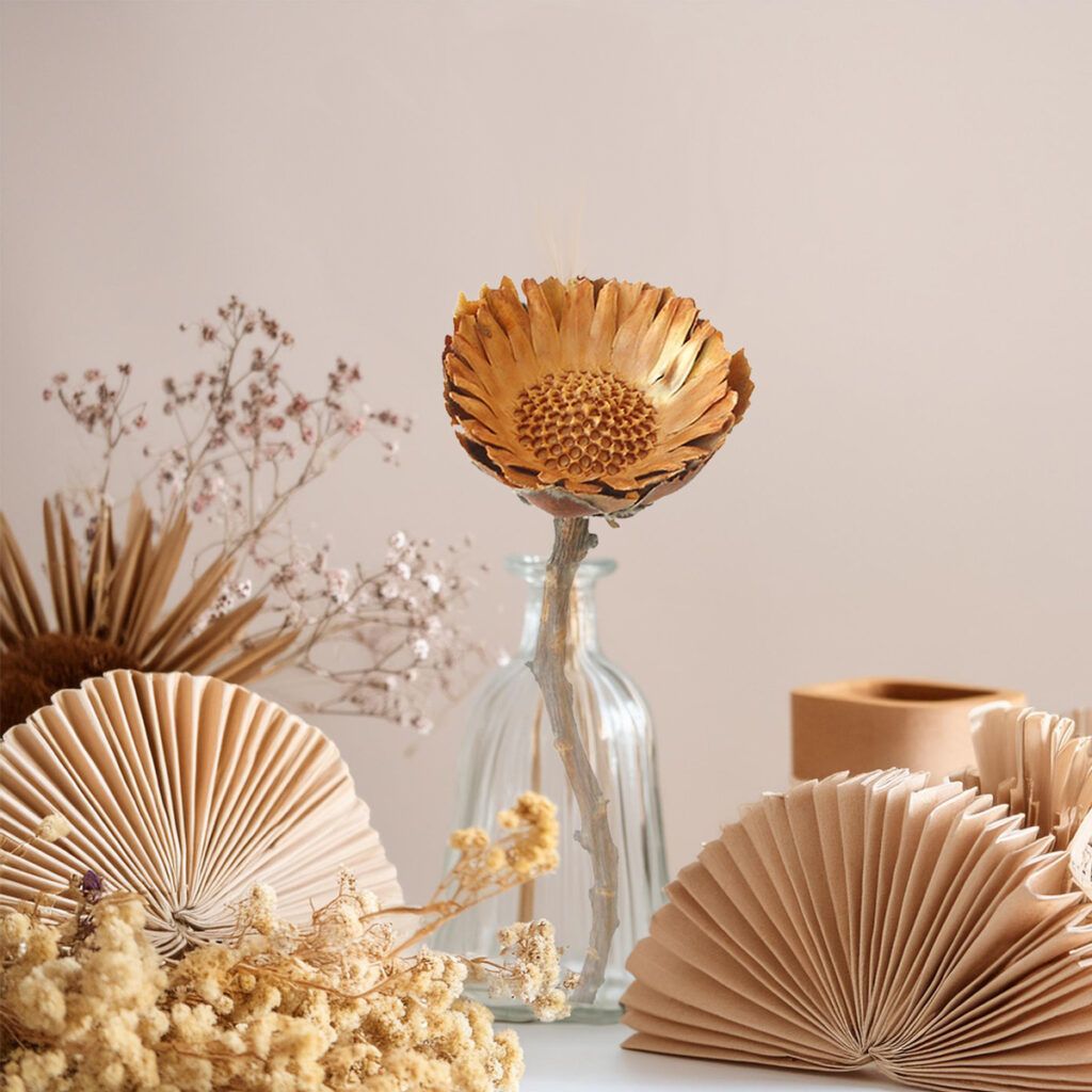 matches21 Zuckerbuesche Protea Compacta Rosette Trockenblumen natur 5er Set 4 6 5 cm 125238 4 1 4