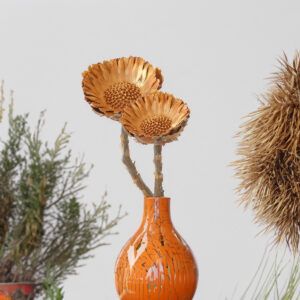 matches21 Zuckerbuesche Protea Compacta Rosette Trockenblumen natur 5er Set 4 6 5 cm 125238 5 1 12