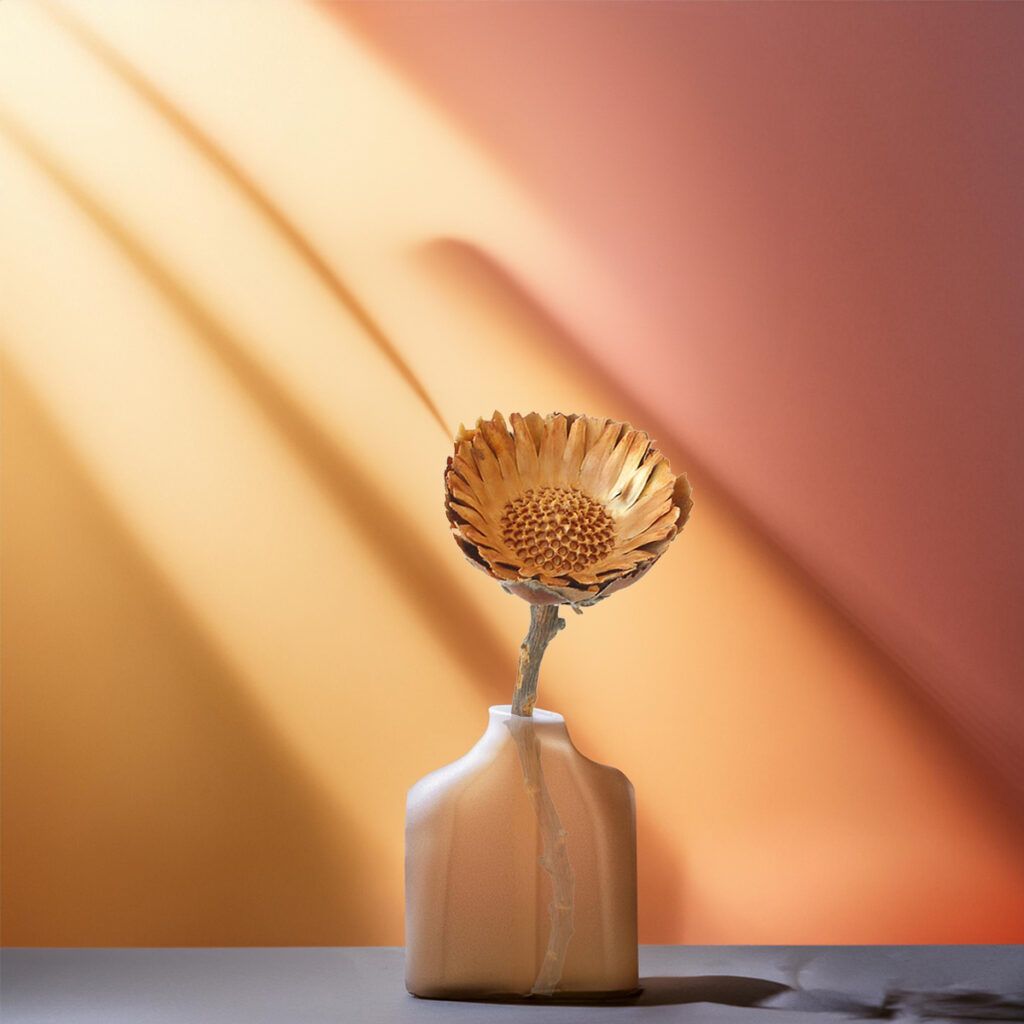 matches21 Zuckerbuesche Protea Compacta Rosette Trockenblumen natur 5er Set 4 6 5 cm 125238 7 1 7