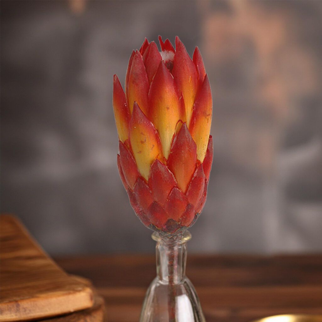 matches21 - Webshop Zuckerbuesche Protea extra Trockenblumen Naturdeko rot gebleicht 5er Set 125234 1 5