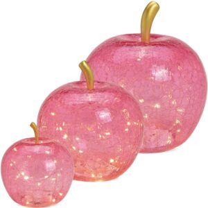 matches21 - Webshop aepfel und LED Lichter und Timer Dekoaepfel Dekoobst Glas Obst rosa 1 Stk in 3 Groessen 122569 1 1 26