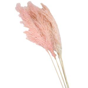 matches21 - Webshop matches21 Pampasgras Trockenpflanze rosa gebleicht Deko Gras 1 Stk Laenge 80 cm 123677 1 10