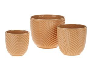 matches21 - Webshop uebertoepfe Farnstruktur Pflanzgefaesse Pflanzschalen Keramik beige 3 Groessen 125497 5 1 24