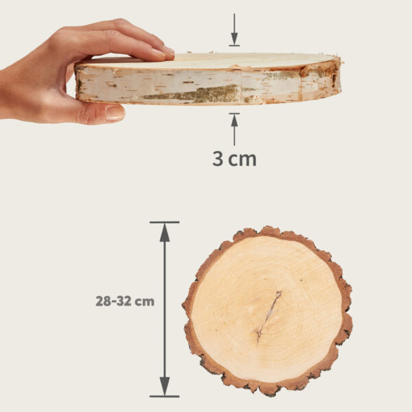 matches21 - Webshop Baumscheiben in 8 45 cm fuer Basteln Dekorieren 127079 14 288