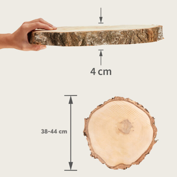 matches21 - Webshop Baumscheiben in 8 45 cm fuer Basteln Dekorieren 127079 16 290