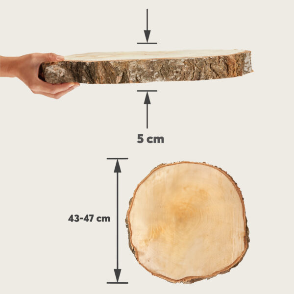 matches21 - Webshop Baumscheiben in 8 45 cm fuer Basteln Dekorieren 127079 17 291