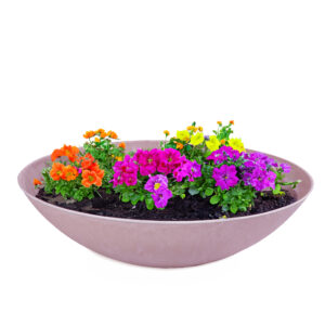 matches21 Solar Springbrunnen Set 128334 29 74