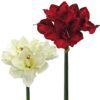 matches21 - Webshop Amaryllis Kunstblumen mit 3 Blueten und 1 Knospe 18 cm Kunstpflanzen 1 Stk 2 Farben 121888 1 10