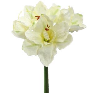 matches21 - Webshop Amaryllis Kunstblumen mit 3 Blueten und 1 Knospe 18 cm Kunstpflanzen 1 Stk 2 Farben 121888 1 1 6