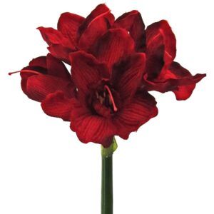 matches21 - Webshop Amaryllis Kunstblumen mit 3 Blueten und 1 Knospe 18 cm Kunstpflanzen 1 Stk 2 Farben 121888 2 1 7