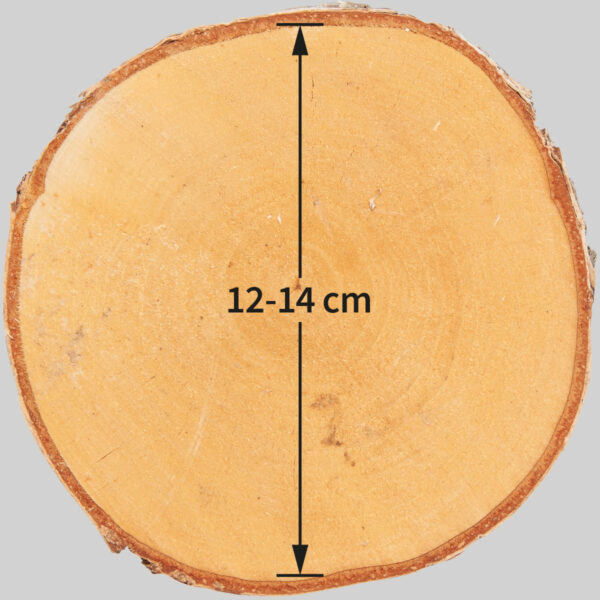 matches21 - Webshop Baumscheiben in 8 40 cm fuer Basteln Dekorieren 127079 60 1 270