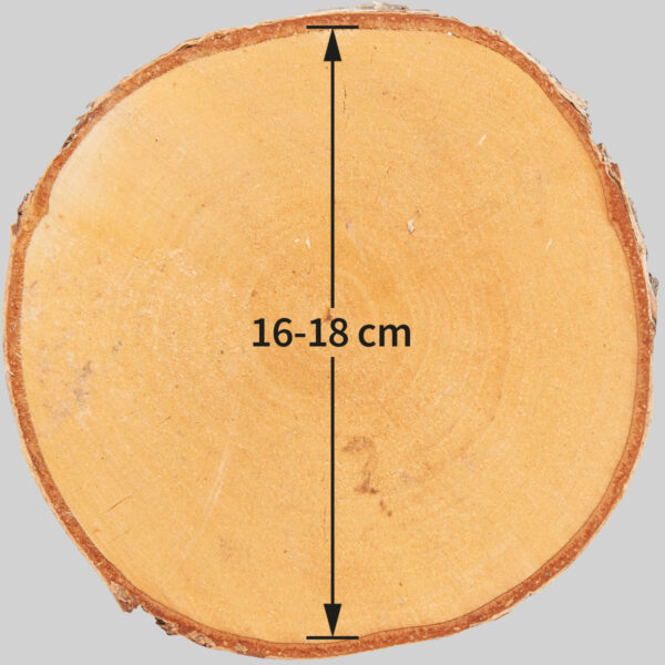 matches21 - Webshop Baumscheiben in 8 40 cm fuer Basteln Dekorieren 127079 61 1 271