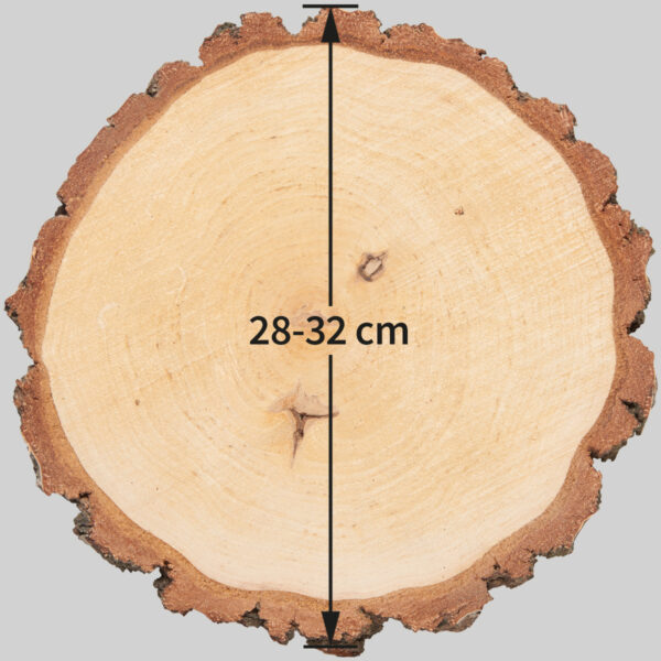 matches21 - Webshop Baumscheiben in 8 40 cm fuer Basteln Dekorieren 127079 63 1 274