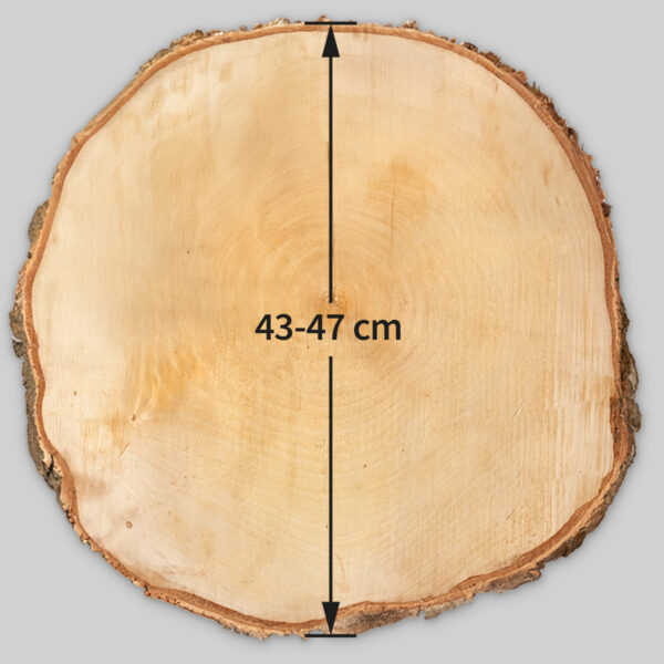 matches21 - Webshop Baumscheiben in 8 40 cm fuer Basteln Dekorieren 127079 89 1 277