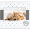 matches21 - Webshop Bilderrahmen Holzrahmen Wechselrahmen weiss grau Hund Pfoten und Katze 1 Stk 10x15 cm 121635 1 3