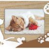 matches21 - Webshop Bilderrahmen Motiv KATZE Rahmen Relief Pfoten und Herz braun weiss 1 Stk 10x15 cm 123316 1 8