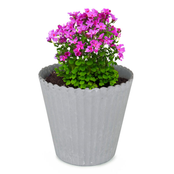 matches21 - Webshop Blumentopf alt rosa outdoor Pflanzgefaess uebertopf 3 Groessen 127554 43 1 166