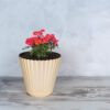 matches21 - Webshop Blumentopf alt rosa outdoor Pflanzgefaess uebertopf 3 Groessen 127554 60 1 242