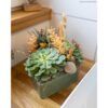 matches21 - Webshop Blumentopf fuer Pflanzen Sukkulenten Herz in gruen 22 cm Kunststoff 126600 1 1 4