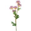 matches21 - Webshop Chrysanthemenzweige mit Blueten und Blaettern Kunststoff 1 Stk 73 cm in 3 Farben 120909 2 1 24