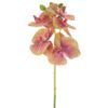 matches21 - Webshop Deko Orchideen mit Blueten und Knospen Real Touch Gefuehl 37 cm 1 Stk in 4 Farben 120918 2 1 24