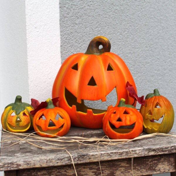 matches21 - Webshop Dekokuerbisse Halloween Sets 127814 15 1 78