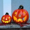 matches21 - Webshop Dekokuerbisse Halloween Sets 127814 22 1 116