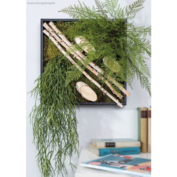 matches21 - Webshop Dekozweige Birke Zweige aeste Naturmaterial Laenge 50 cm 1 2 5 cm 6er Set 116101 5 1 6